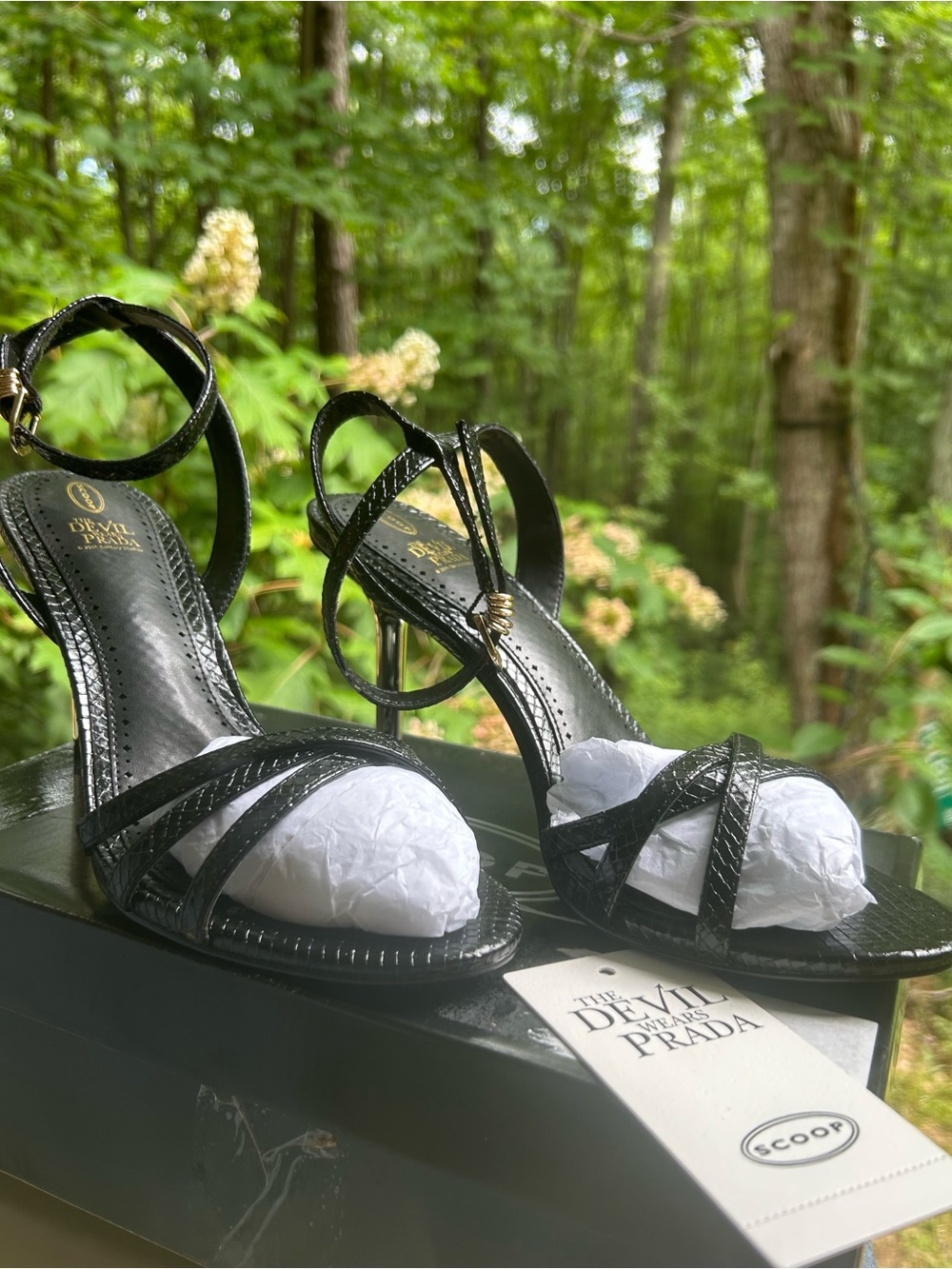 Scoop Devil Wears Prada pumps